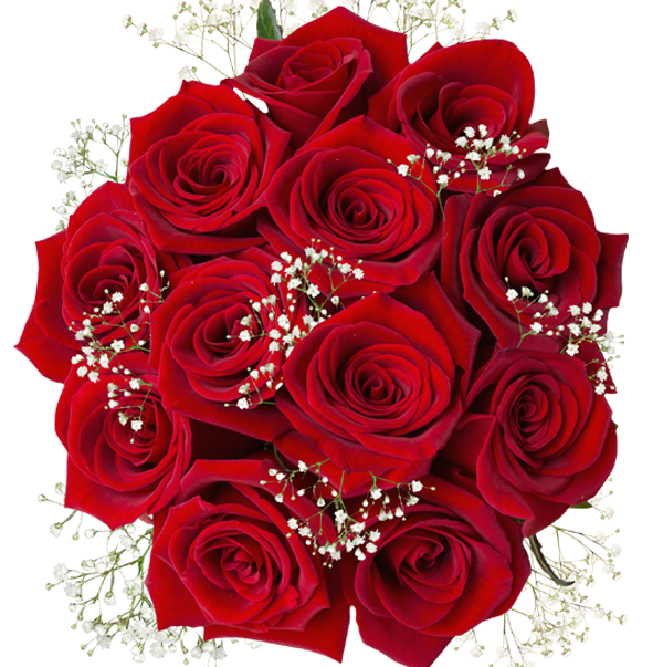 Valentine's Day Red Roses With Filler - Affordable Gift Roses