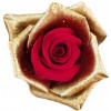 red rose golden petals