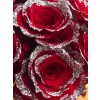 red rose with glitter