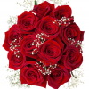 valentines red roses babys breath