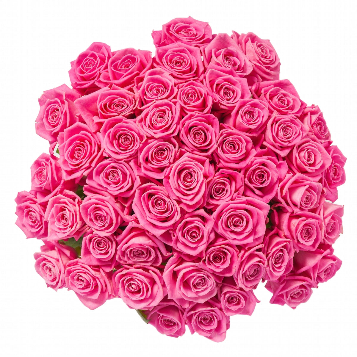 50 Pink Roses 