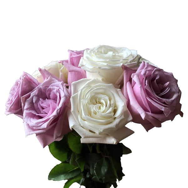 assorted lavender white roses