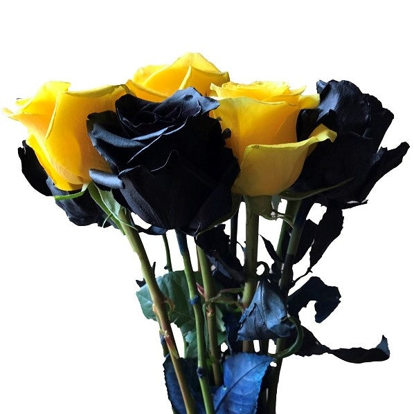Assorted Black and Yellow Roses