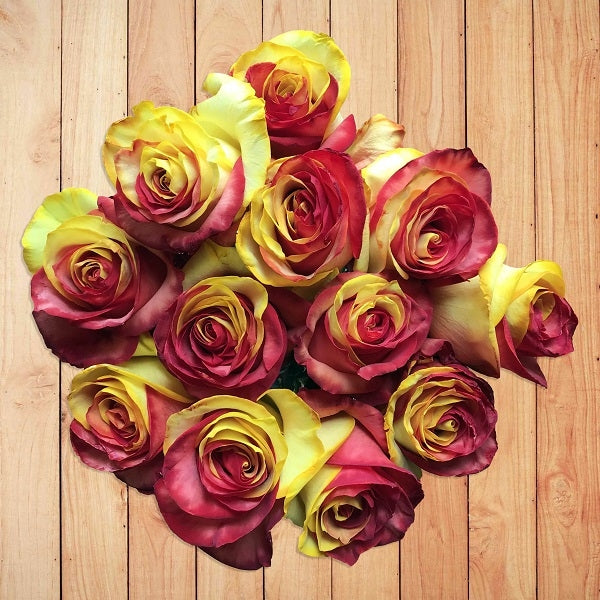 fresh tinted red yellow roses