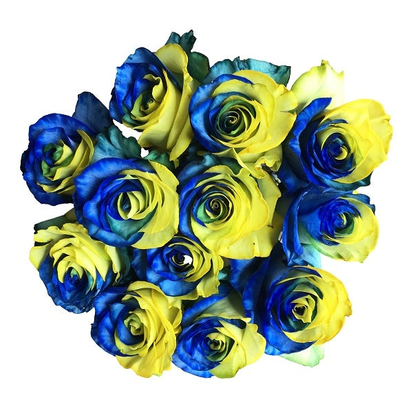blue & yellow tinted roses