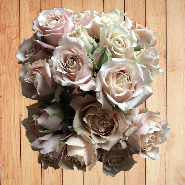 sand colored spray roses