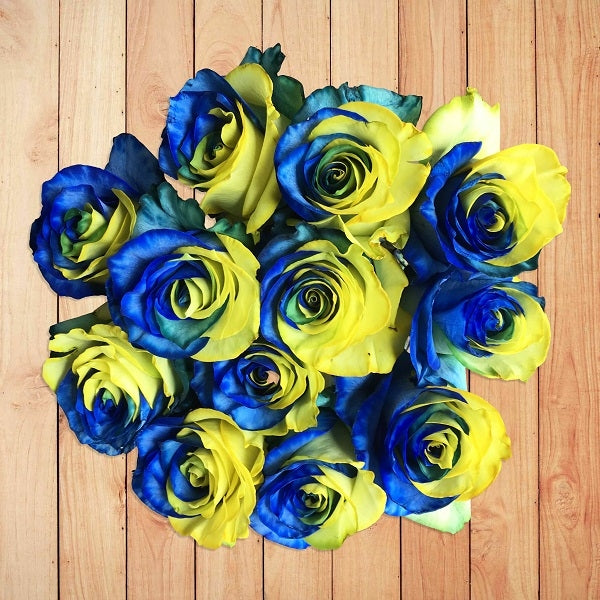 bouquet blue and yellow roses
