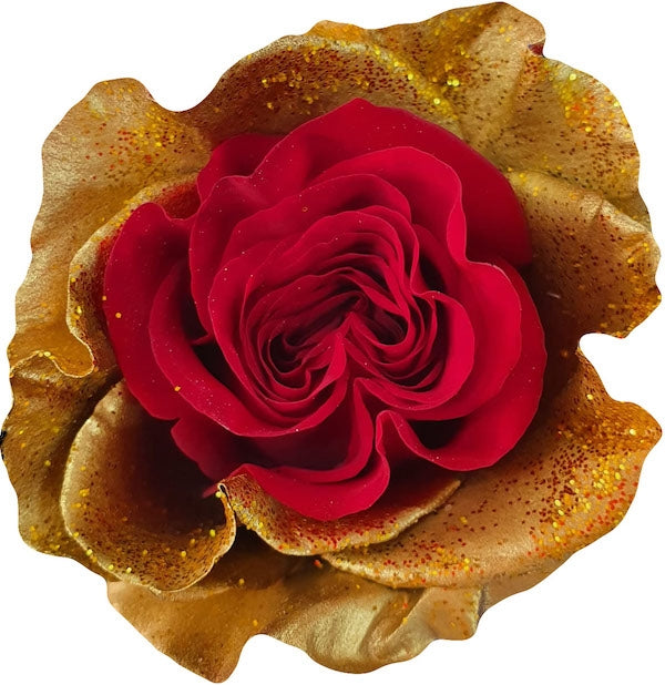 heart of gold rose