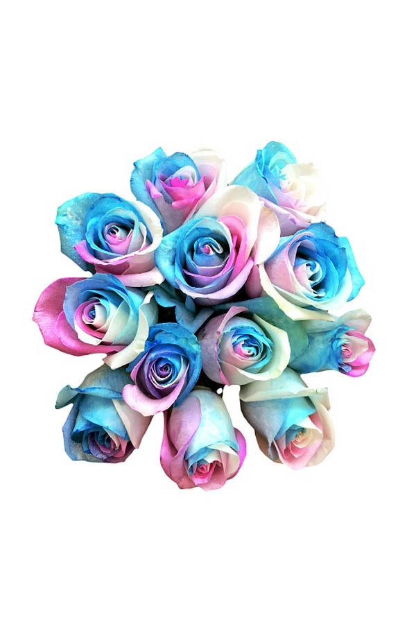 marshmallow tinted roses