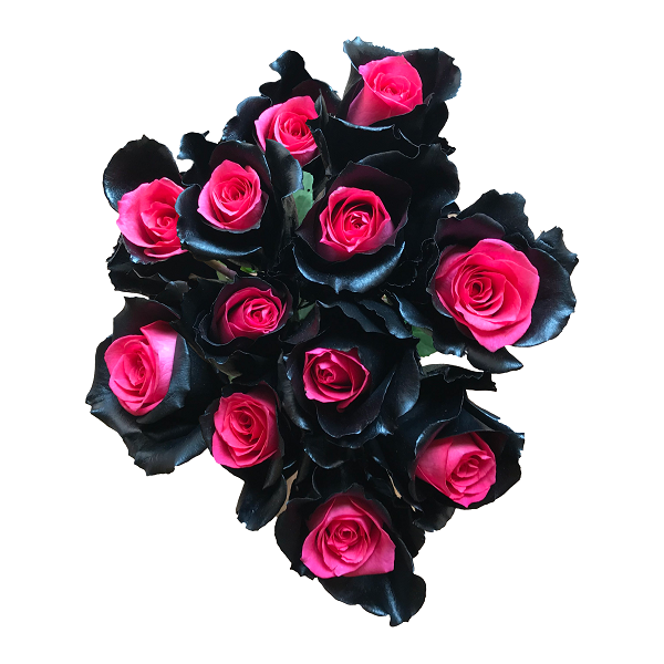 mystic topaz pink black roses