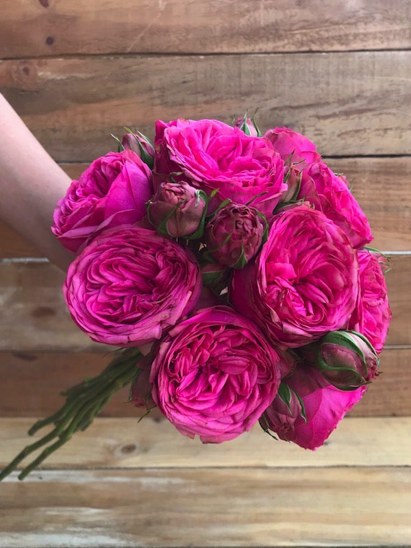 Pink Piano Wedding Rose