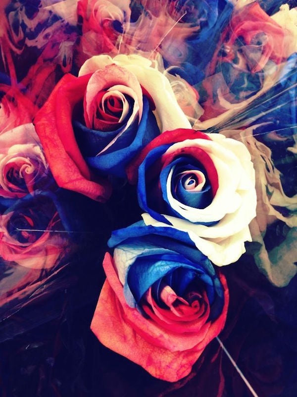 red white and blue roses