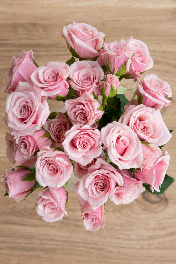 Light pink Spray roses
