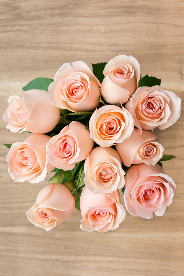 Engagement Pink Rose