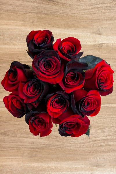 Red and Black Tinted Roses - flowerexplosion.com