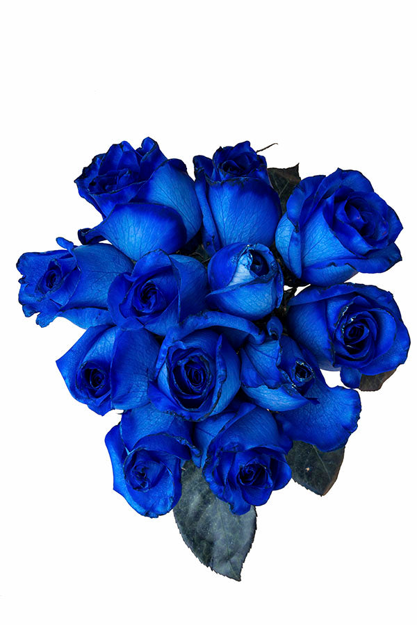 Blue Tinted Roses