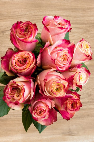 Malibu Pink and White Rose - flowerexplosion.com