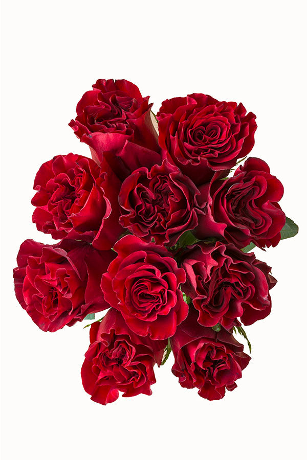 Hearts Red Rose