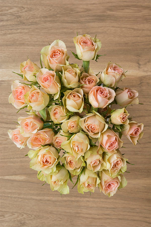 Peach Spray Roses - flowerexplosion.com