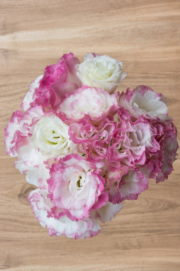 Lisianthus White and Pink