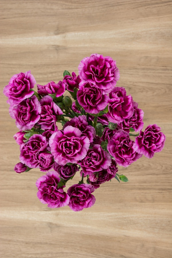 Purple Mini Carnations