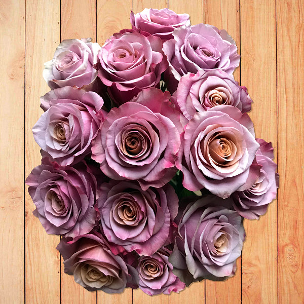 Antique Purple Moon Rose