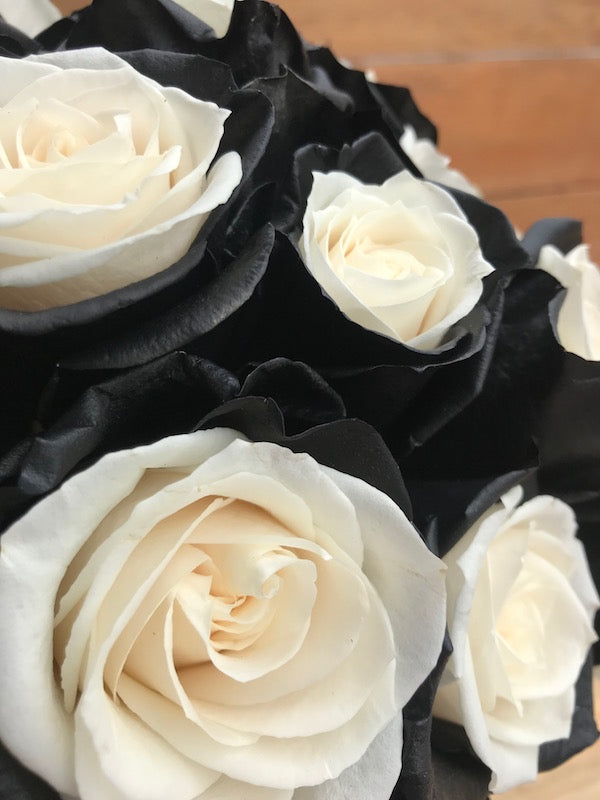 white and black rose