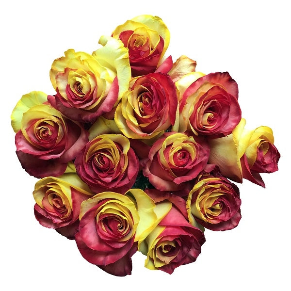 bouquet red yellow tinted roses